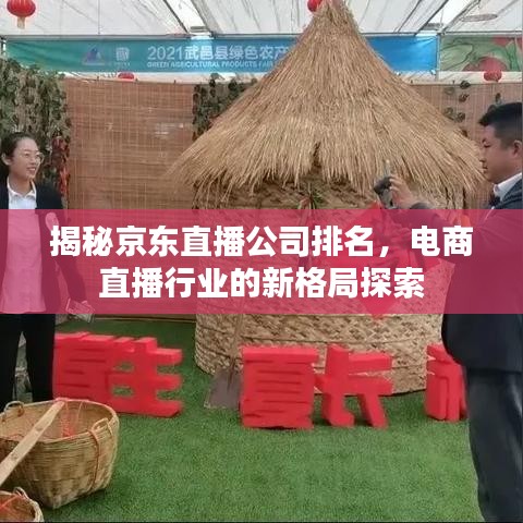 揭秘京东直播公司排名，电商直播行业的新格局探索