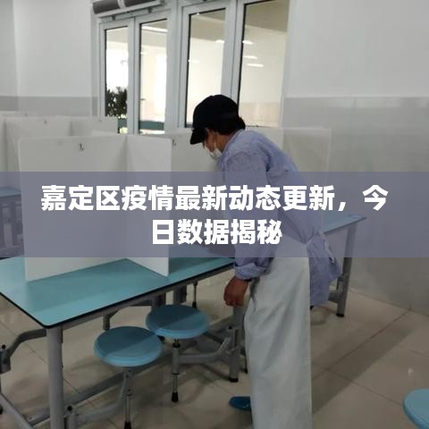 嘉定区疫情最新动态更新，今日数据揭秘