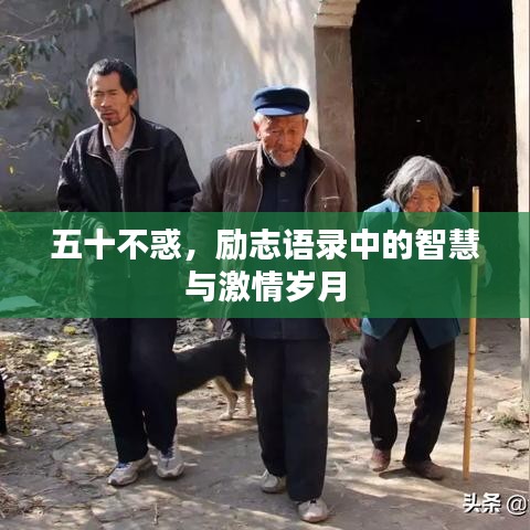 五十不惑,励志语录中的智慧与激情岁月