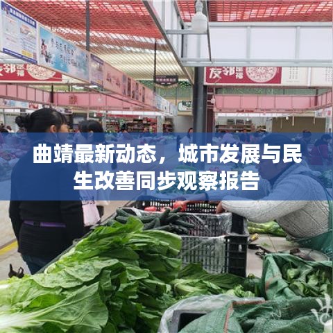 曲靖最新动态，城市发展与民生改善同步观察报告