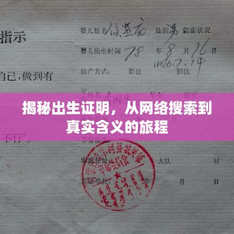 揭秘出生证明，从网络搜索到真实含义的旅程