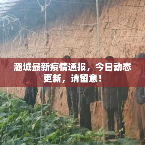 潞城最新疫情通报,今日动态更新,请留意!