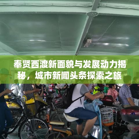 衣不曳地 第5页