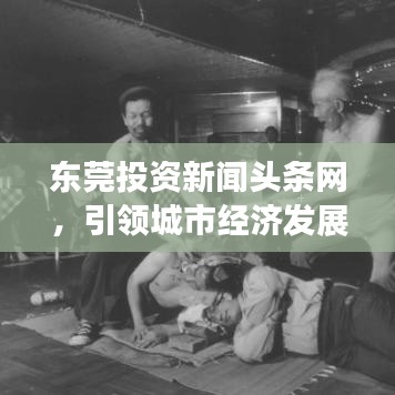 东莞投资新闻头条网，引领城市经济发展，掌握信息前沿动态