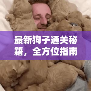 最新狗子通关秘籍，全方位指南助你轻松成为养狗达人！
