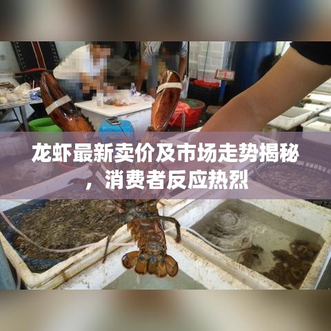 龙虾最新卖价及市场走势揭秘，消费者反应热烈