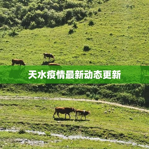 天水疫情最新动态更新