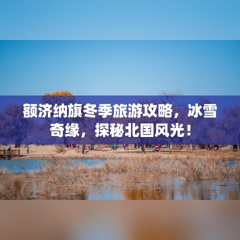 额济纳旗冬季旅游攻略，冰雪奇缘，探秘北国风光！