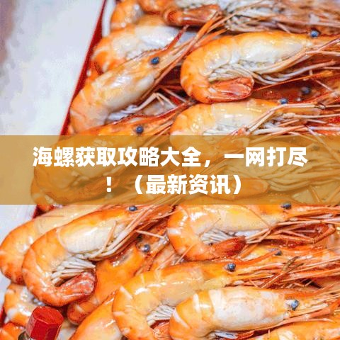 闻所未闻 第4页