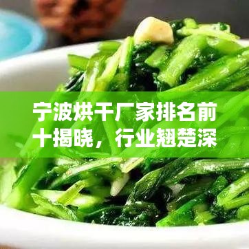 宁波烘干厂家排名前十揭晓，行业翘楚深度解析