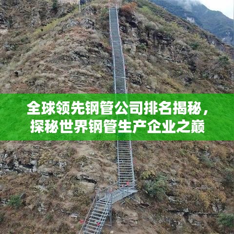 囊萤映雪 第5页