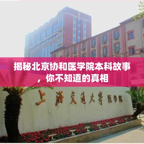 揭秘北京协和医学院本科故事，你不知道的真相