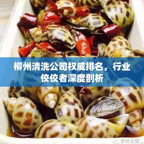 柳州清洗公司权威排名，行业佼佼者深度剖析