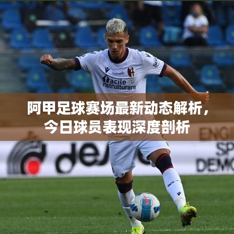 阿甲足球赛场最新动态解析，今日球员表现深度剖析