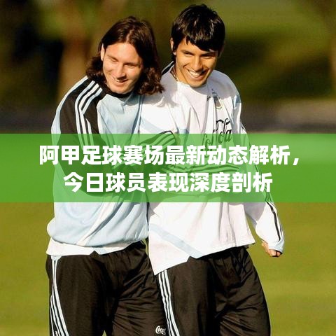 阿甲足球赛场最新动态解析,今日球员表现深度剖析