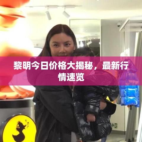 黎明今日价格大揭秘，最新行情速览