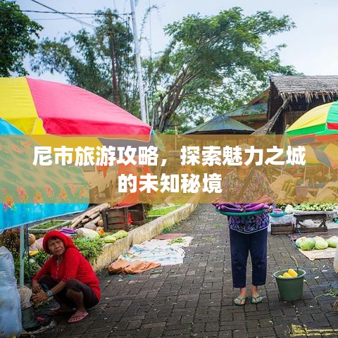 尼市旅游攻略，探索魅力之城的未知秘境