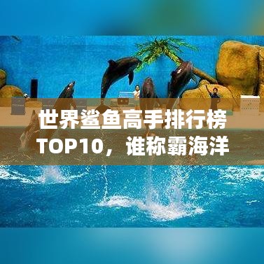 世界鲨鱼高手排行榜TOP10，谁称霸海洋之巅？