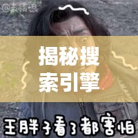 揭秘搜索引擎背后的力量，深度探索真相，百度为你揭秘！