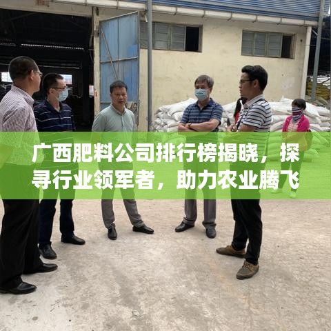 广西肥料公司排行榜揭晓，探寻行业领军者，助力农业腾飞发展