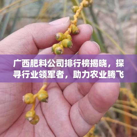 广西肥料公司排行榜揭晓,探寻行业领军者,助力农业腾飞发展