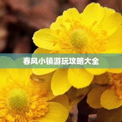 春风小镇游玩攻略大全