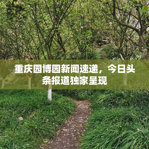 重庆园博园新闻速递，今日头条报道独家呈现