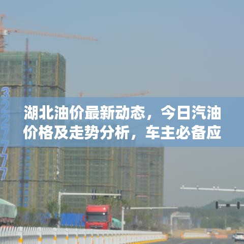 湖北油价最新动态，今日汽油价格及走势分析，车主必备应对策略！