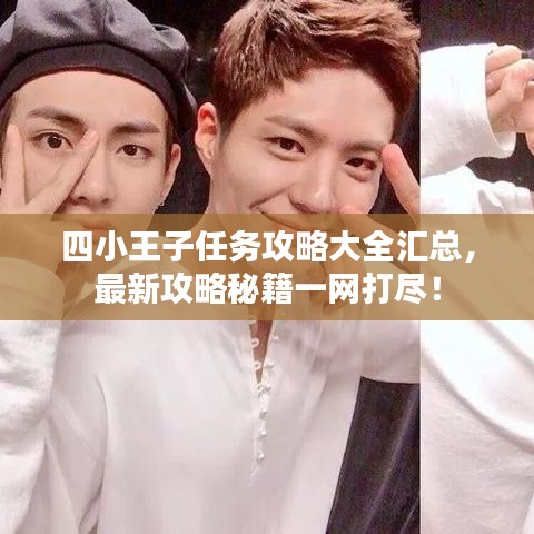 四小王子任务攻略大全汇总，最新攻略秘籍一网打尽！