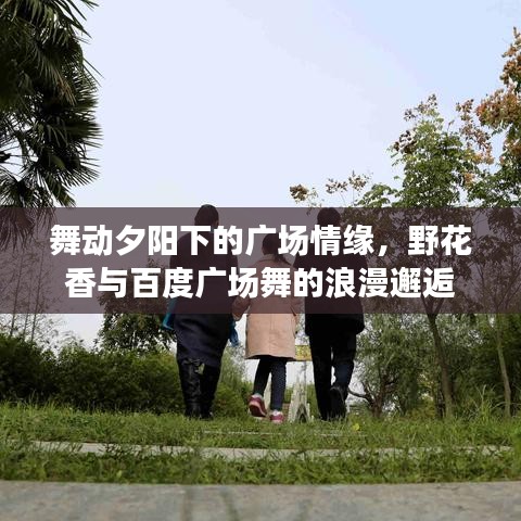 舞动夕阳下的广场情缘，野花香与百度广场舞的浪漫邂逅
