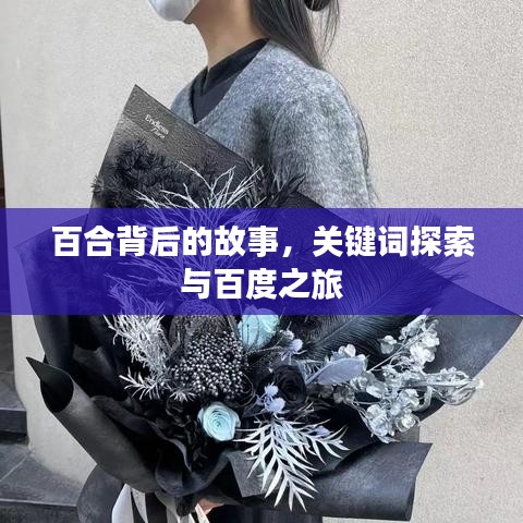 百合背后的故事，关键词探索与百度之旅