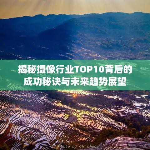 揭秘摄像行业TOP10背后的成功秘诀与未来趋势展望