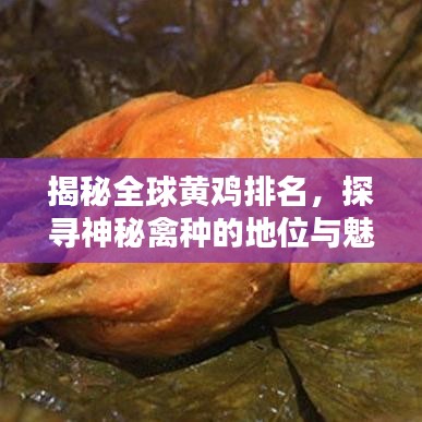 揭秘全球黄鸡排名，探寻神秘禽种的地位与魅力