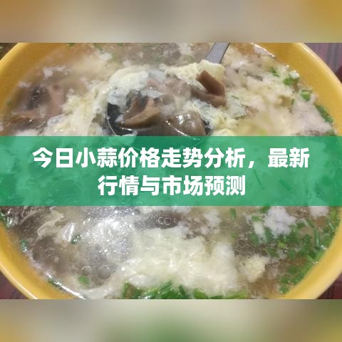 今日小蒜价格走势分析,最新行情与市场预测