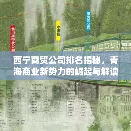 西宁商贸公司排名揭秘,青海商业新势力的崛起与解读