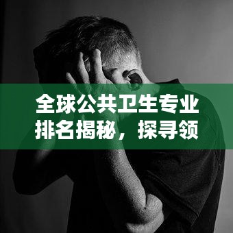 全球公共卫生专业排名揭秘，探寻领先者，洞悉领域佼佼者