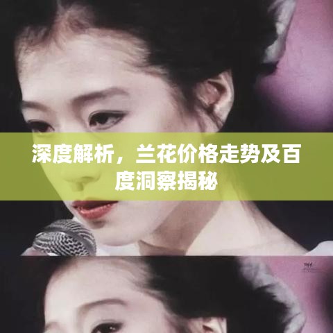 深度解析,兰花价格走势及百度洞察揭秘