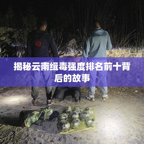 揭秘云南缉毒强度排名前十背后的故事