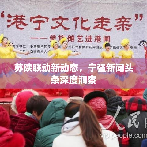 苏陕联动新动态，宁强新闻头条深度洞察