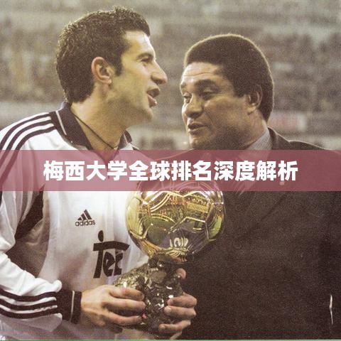 梅西大学全球排名深度解析