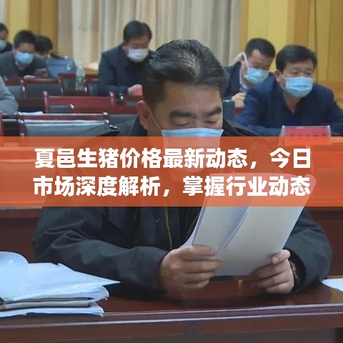 夏邑生猪价格最新动态，今日市场深度解析，掌握行业动态趋势