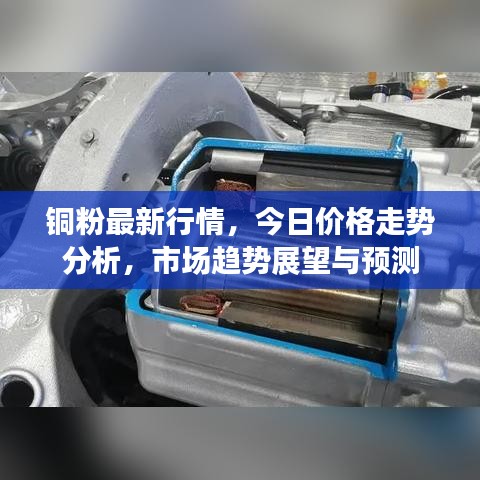 雪中送炭 第5页