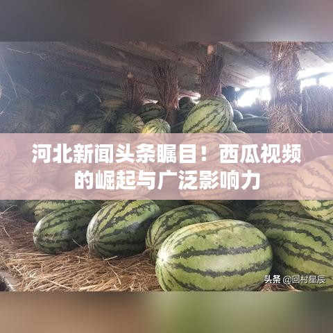河北新闻头条瞩目！西瓜视频的崛起与广泛影响力