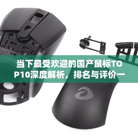 当下最受欢迎的国产鼠标TOP10深度解析，排名与评价一网打尽！