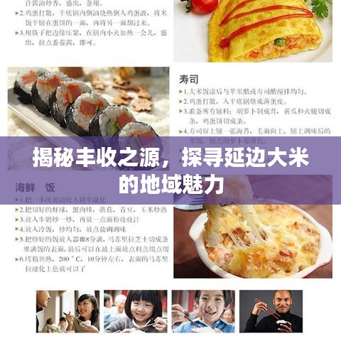 揭秘丰收之源，探寻延边大米的地域魅力