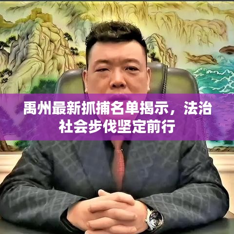 禹州最新抓捕名单揭示，法治社会步伐坚定前行