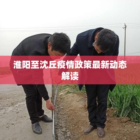 淮阳至沈丘疫情政策最新动态解读