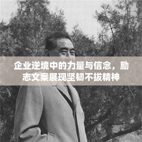 企业逆境中的力量与信念，励志文案展现坚韧不拔精神