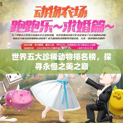 世界五大珍稀动物排名榜，探寻永恒之美之巅