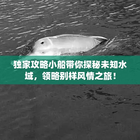 独家攻略小船带你探秘未知水域,领略别样风情之旅!